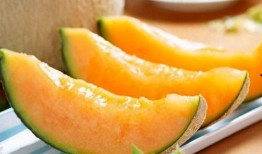 每日吃鲜瓜,夏日清凉生活新主张