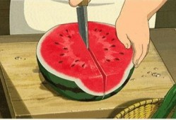 吃瓜网免费吃瓜51,畅享无限娱乐盛宴！