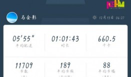 每日大赛官方公告-每日大赛,精彩赛事盘点与亮点前瞻