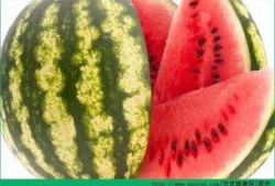 每日吃瓜在哪看,尽在指尖——揭秘各大平台瓜果盛宴