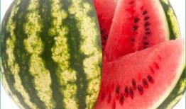 每日吃瓜在哪看,尽在指尖——揭秘各大平台瓜果盛宴