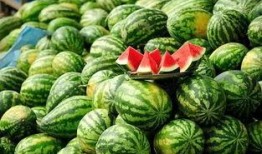 今日热瓜 吃瓜 每日更新.co