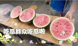 吃瓜新前线每日吃瓜,每日新鲜瓜事，带你领略娱乐圈风云变幻
