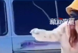 今日吃瓜女司机,吃瓜女司机引发热议，揭秘网络舆论背后的真相