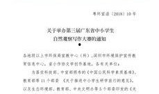 每日大赛观察怎么写,精彩瞬间与策略解析