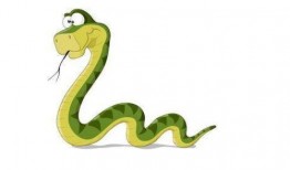 每日大赛岩蛇挑战流泪,每日大赛见证英雄泪