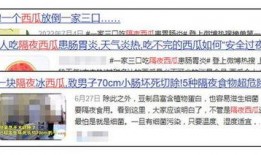 每日吃瓜的网址,揭秘网络热点背后的真相与趣味