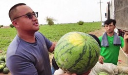 每日吃瓜智慧,洞察时事，笑对人生